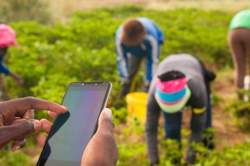 Agri-ICT Services